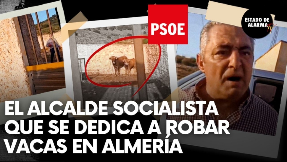 Image del Video: El alcalde socialista que se dedica a robar vacas en Almería